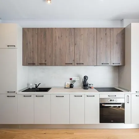 Apartment Magenta 1br Near Aviatiei Bucharest